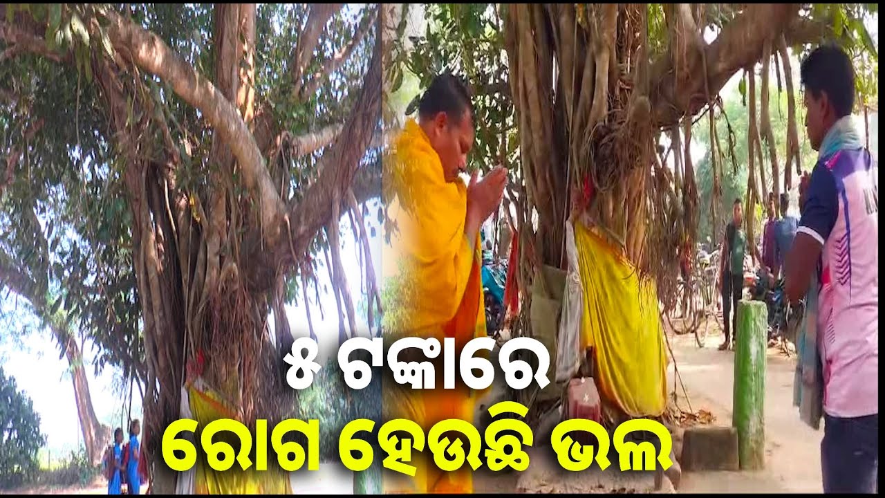 ମାତ୍ର ୫ ଟଙ୍କା ଠାକୁରଙ୍କୁ ଲାଗି କରିବା ପରେ ଠାକୁରଙ୍କ ଆଜ୍ଞାରେ ମାନିସିକ ପୁରଣ ହୋଇଥାଏ || Knews odisha
