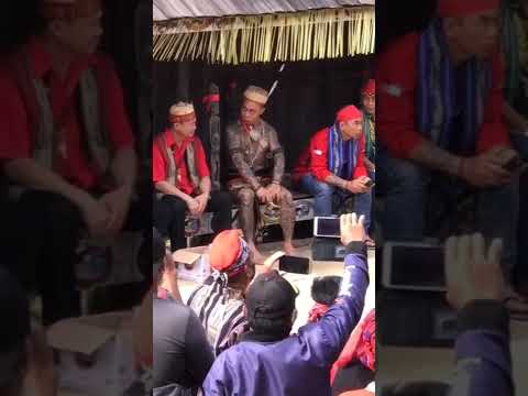 Panglima Jilah kemasukan Roh leluhur Nya!!! #panglimajilahdayak #dayakborneo #satukomando