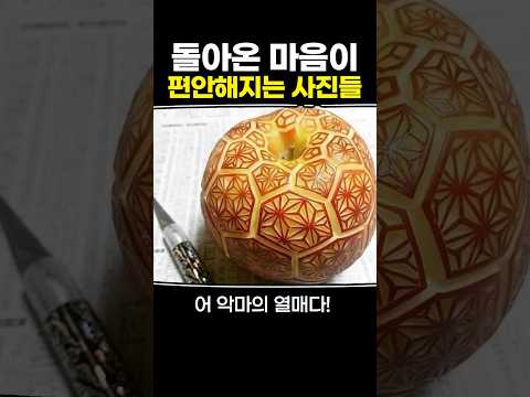 돌아온 마음이 편안해지는 사진들