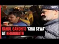 Rahul Gandhi Serves Tea To Pilgrims Waiting Outside Kedarnath Temple