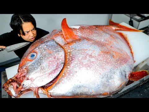 規格外のマンボウを仕入れたので解体したら1000匹の寄生虫がウジャウジャと、、、