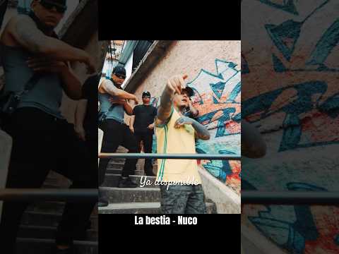 La bestia - Nuco #brasil #rapmexicano #favelas #nuco #tendencia
