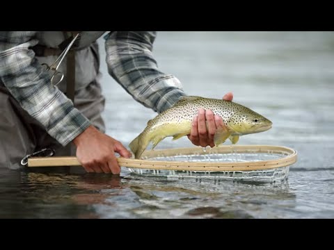 Basic River Fishing Tactics for Trout | Simon Gawesworth
