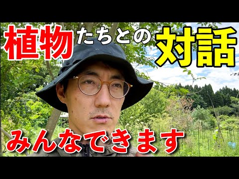 誰でも植物とコミュニケーションとれる方法