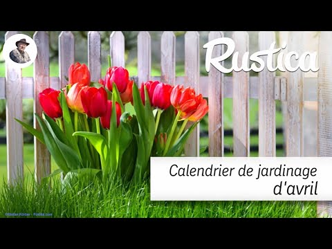 Que faire en avril au jardin