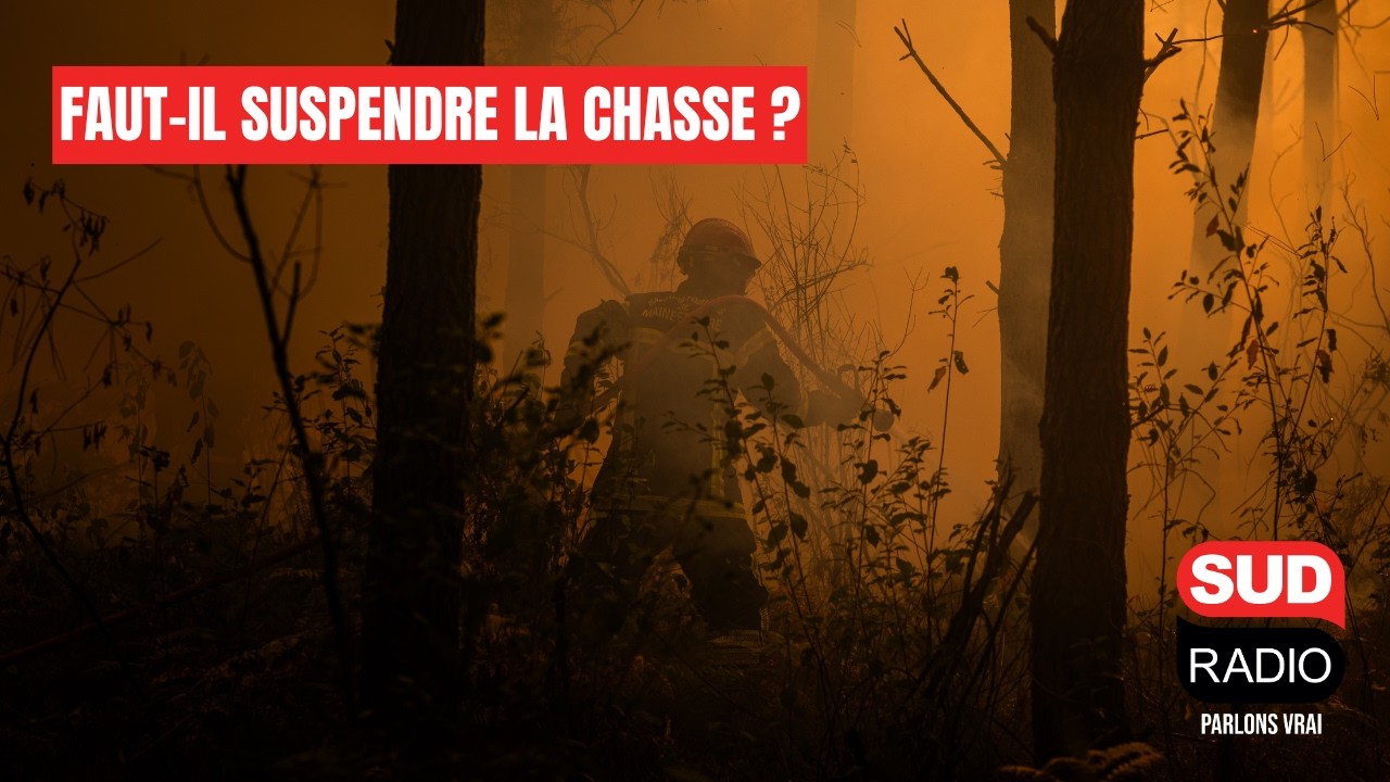 Faut-il suspendre la chasse dans les départements incendiés ?