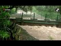 Punjab Flood News | Chandigarh’s Zakir Hussain Rose Garden Flooded After Intense Rainfall  - 00:53 min - News - Video