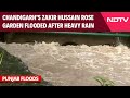 Punjab Flood News | Chandigarh’s Zakir Hussain Rose Garden Flooded After Intense Rainfall
