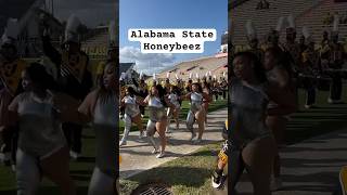 THEE Alabama State University Honeybeez 💛🐝🐝🐝🐝🖤