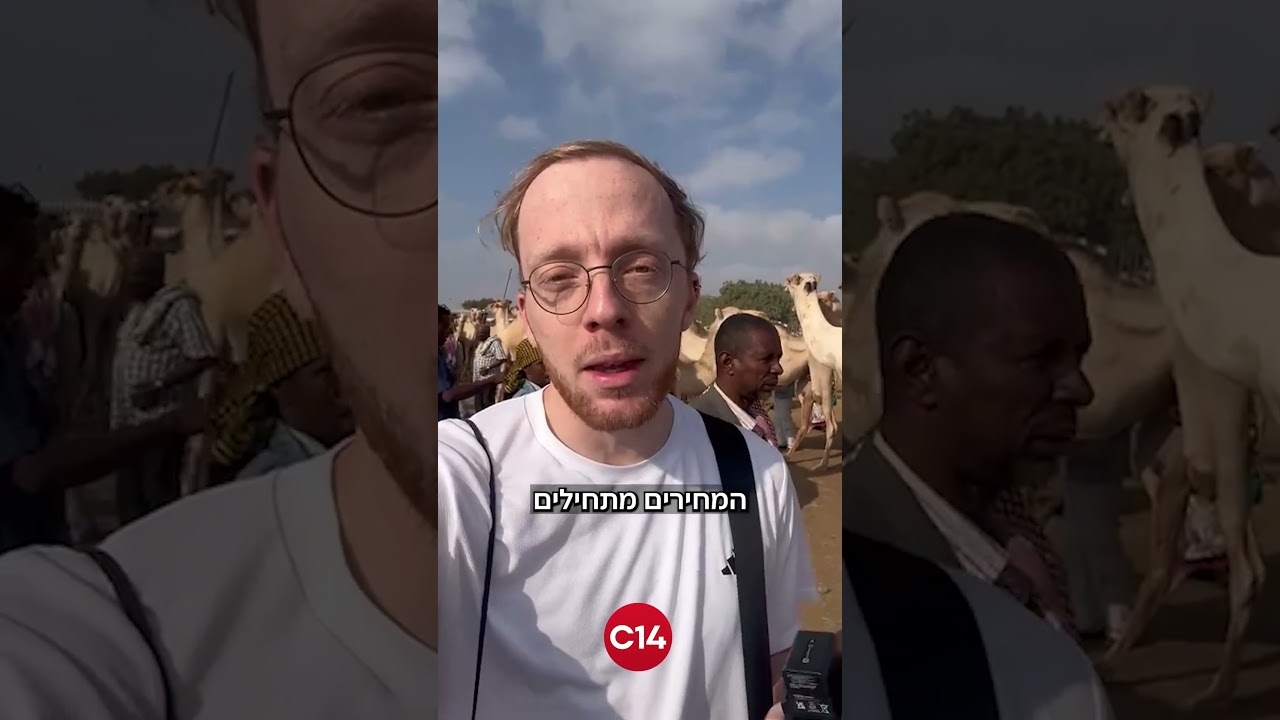 פרק אחרון בסדרה: שליחנו לסומלילנד בדק כמה יעלה לכם לקנות גמל בשוק המקומי