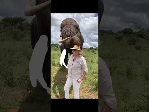 FUNNY AND CUTE🤣🤣🤣#animals #mreita