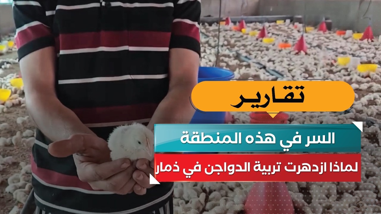 قناة السعيدة