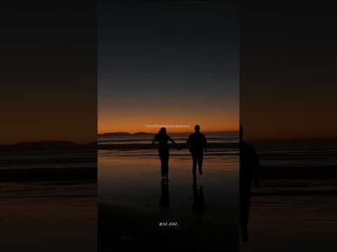 WizTheMc, bees & honey - Show Me Love || Music Authentic || Music lyrics ||
