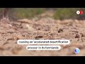 Droughts, desertification threaten farmlands in Brazil | REUTERS  - 00:54 min - News - Video