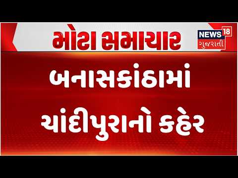 Banaskantha News | બનાસકાંઠામાં ચાંદીપુરાનો કહેર | Amirgadh | Chandipura Case | Gujarati News