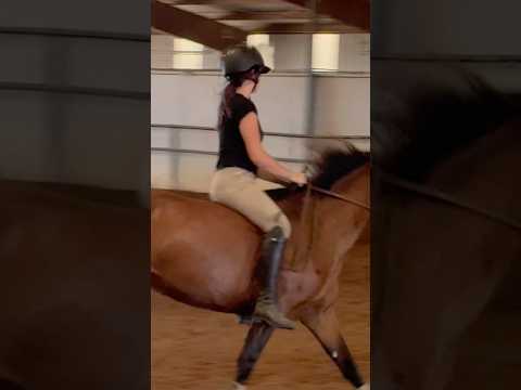 isn’t she the prettiest💕 #horse #horseriding #equestrianriding #riding #horsebackriding #pony