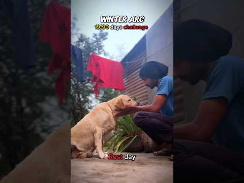Day — 19/90 winter arc challenge (rest day) #winterarc #vlog #doglove #day19