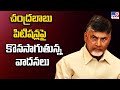 Chandrababu files Two Petitions in ACB Court