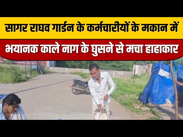 Sagar News : सागर राघव गार्डन के कर्मचारीयों के मकान में भयानक काले नाग के घुसने से मचा हाहाकार

#SagarNews 🗞️ #breakingnews 💥 #latestupdates 📰 #journalism 👨‍💻 #press 📝 #mediaoutlet 🎥 #crediblesource ⚖️ #newsmakers 💼#currentevents ⏰#localnews 🌎#globalheadlines 🌍#worldaffairs 🌎#topstories 🔝#newsreporting 💬