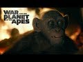Button to run trailer #5 of 'War of the Planet of the Apes'