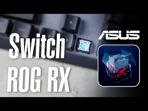 Trải nghiệm Switch ROG RX