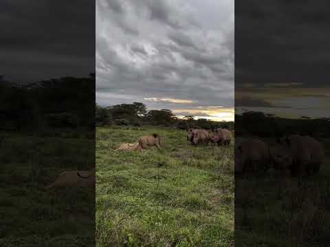 unian graphical magical formrty above in colperation in dredger