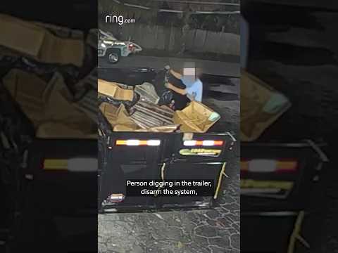 The stranger going through this dumpster didn't expect this...