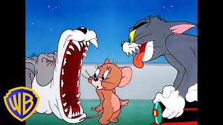 Tom a Jerry - nejlepší honičky