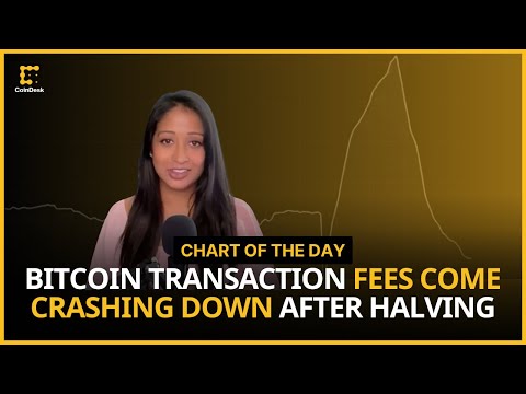 Bitcoin Transaction Fees Slide Significantly Post Halving | Chart of
the Day