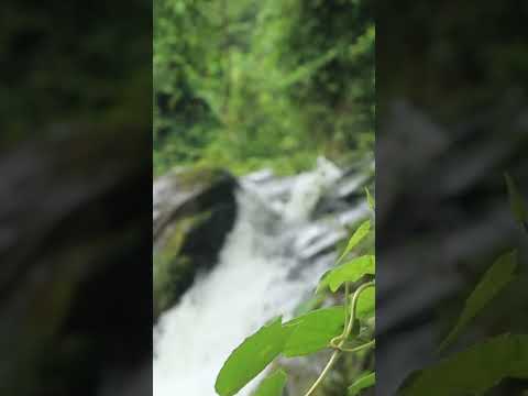Free Natural Waterfall sound for peace  #relax #rainoundforsleep #relaxingsounds #ambientmusic