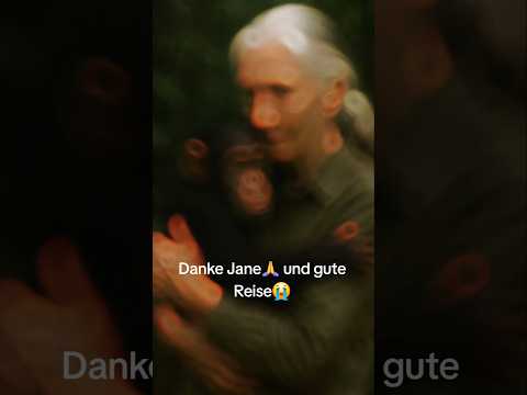 R.I.P Jane🙏❤️✨️ #shorts #janegoodall #chimpanzee #primates #primaterescue #memories #unforgotten
