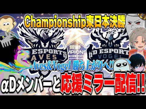 荒野CHAMPIONSHIPミラー配信！αD全員で応援する!! #αDWIN【荒野行動】