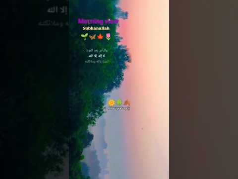 Amantu billahi💫#morning veiw🍁🌷#viral🔥#trending💯#ayisha_abdul_basith  #islamicquotes_p4y🦋#explorislam