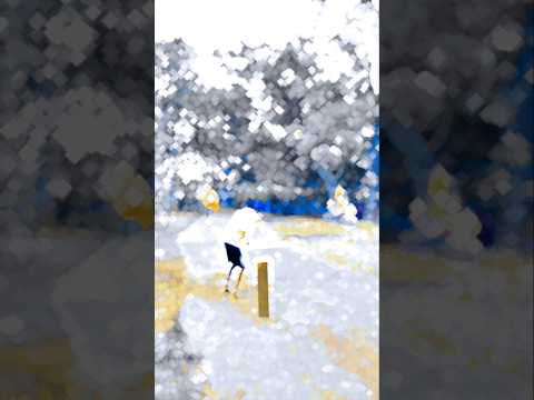 hindi song💪🙌🏻😈 #cricket #trending viral videos #sorts viral...