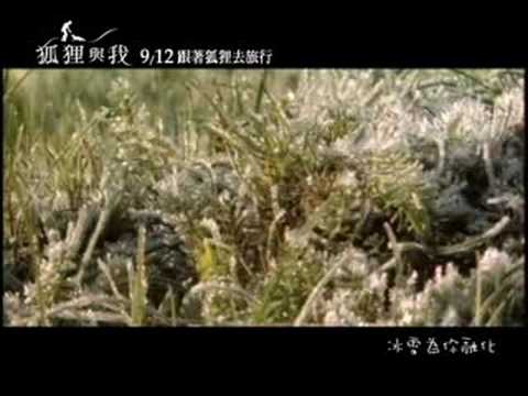 電影《狐狸與我》中文主題曲《輕輕愛》MV 清新民謠女聲鄭宜農