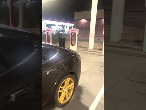 And the dumbest Tesla owner is...