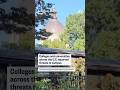 Colleges and universities across the U.S. reported threats to campus