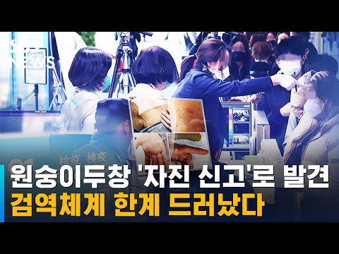 '자진 신고'로 발견…양심에 기댄 원숭이두창 검역 / SBS