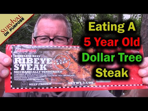 Find Out What Happens When We Eat A 5 Year Old Dollar Store Steak!