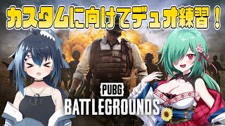 【PUBG コラボ！】日曜のPUBGカスタムに向けてチーム練習！with 白露リーナ【バ美肉/Vtuber】