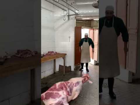 تصدق سلخت قبل مدبح 🤣