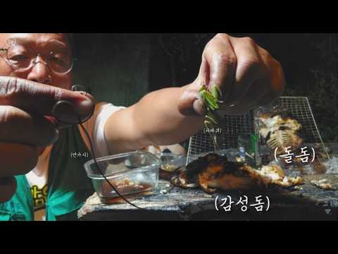 (20261024 최신 <strong>비디오</strong>) [돌돔, 감성돔🔥] 먹방인데요......
