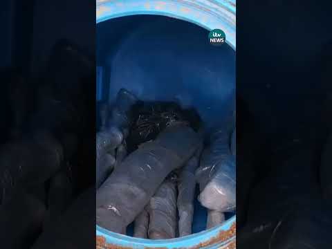 Police uncover cache of ‘weapons of war,’ 6 kg of cocaine buried at farm in Calabria, Italy