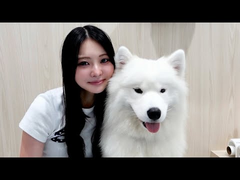 【ご報告】病みすぎて死にかけているので 新しい家族を迎えます。