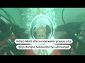 Narendra Modi offers underwater prayers | REUTERS
