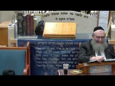 הרב יהושע ויזגן מסכת חולין דף לז עמוד ב'