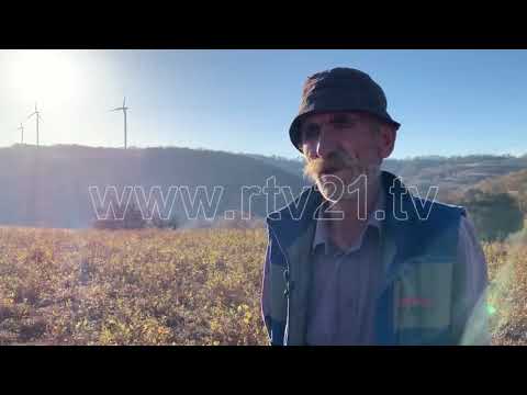 VELIGLLAVA REPORTAZH 16 11 2018