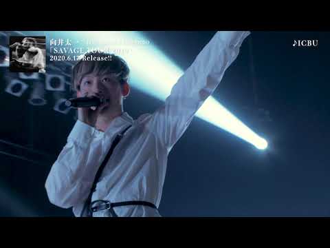 向井太一 / LIVE ALBUM&LIVE VIDEO「SAVAGE TOUR 2019」ティザー映像