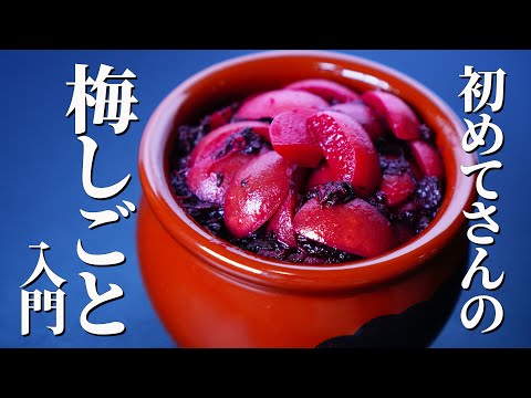 ゆっくり覚える梅しごと【カリカリ梅】｜傷さえも愛しい青梅に、ありがとう