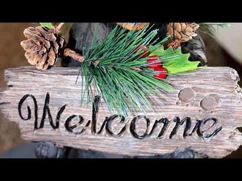 Property video